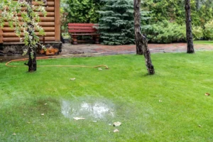 homeowner inspecting a soggy patch of grass and a cracked walkway near the water main