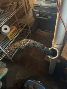 Tree roots removed from clogged sewer line in Alexandria VA